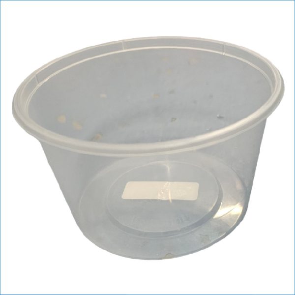 CUP - PLAIN 600ML WITH LID (NO MEASURE)