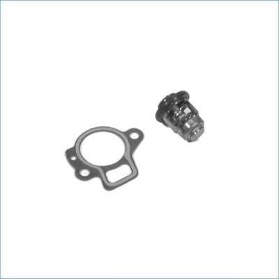 MP-THERMOSTAT KIT