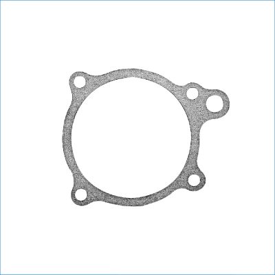 MP-GASKET-WATER PUMP