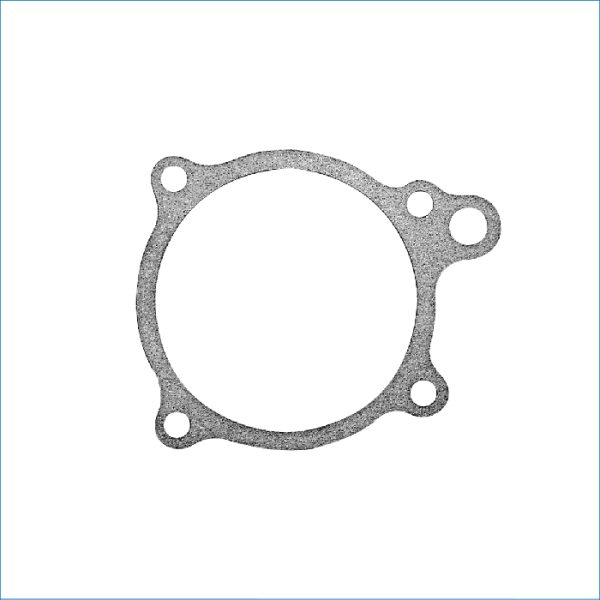 MP-GASKET-WATER PUMP